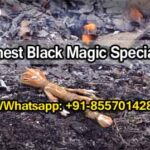 How to detect and remove black magic by black magic specialist in yuba city USA Near Me +91-8557014282,